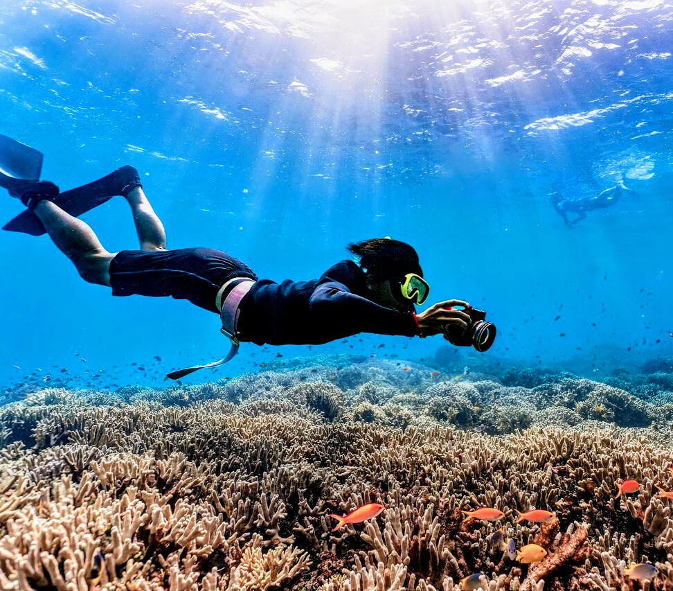The perks of an all-inclusive vacation Exploring a coral reef