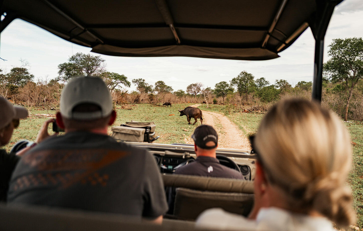 The benefits of having a local expert show you the way. A group of travelers on a guided safari in Africa watching a rhinoceros cross their path.